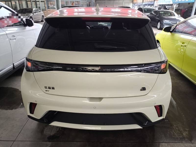 Used BYD Dolphin 2023 420 km Fashion Edition — 5