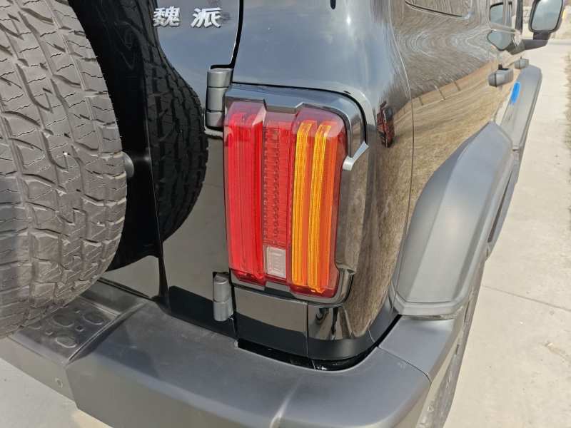 Used Tank 300 2021 Off-Road Edition 2.0T Conqueror — 21