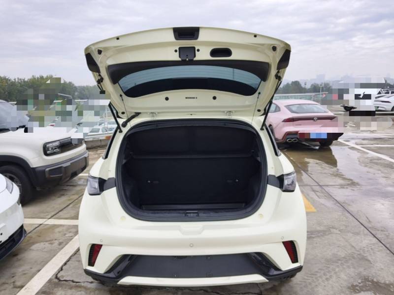 Used BYD Dolphin 2021 405 km Fashion Edition — 18