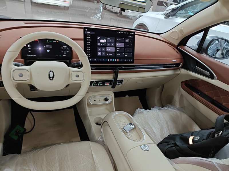 Used ORA Good Cat 2025 Model, 430 km Prestige Version — 12