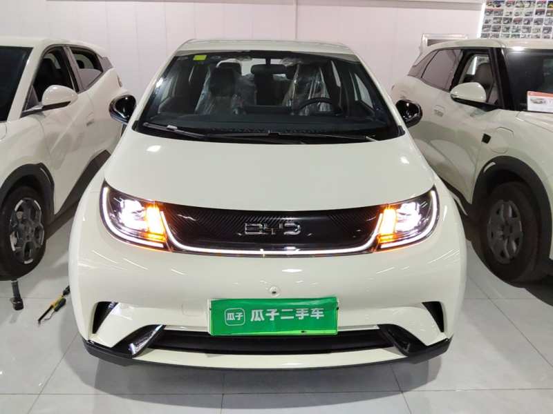 Used BYD Dolphin 2025 420km Free Edition — 2