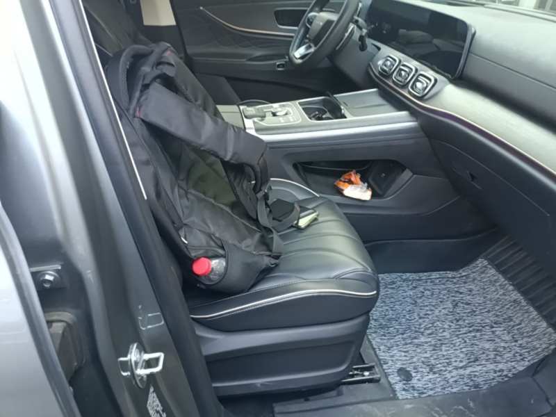 Used Chery Tiggo 9 2023 2.0T Dual-Clutch Two-Wheel Drive Prestige Version 5 Seats — 24