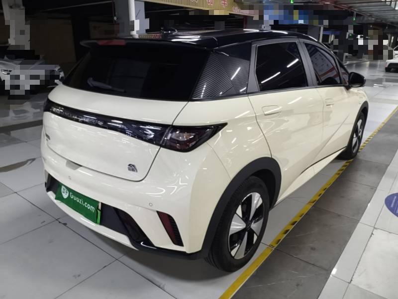 Used BYD Dolphin 2023 420 km Free Version — 6