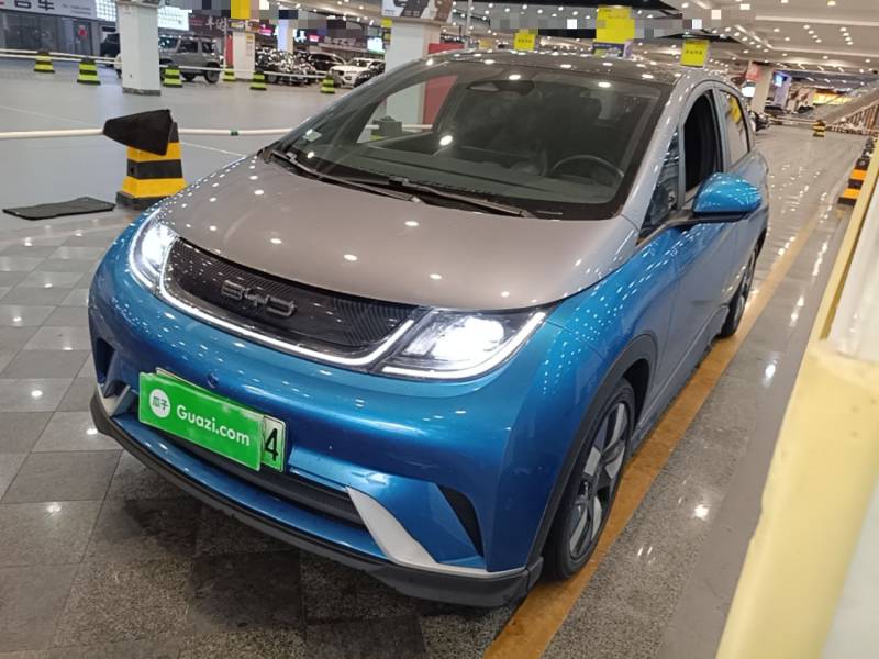 Used BYD Dolphin 2021 401km Knight Edition — 1