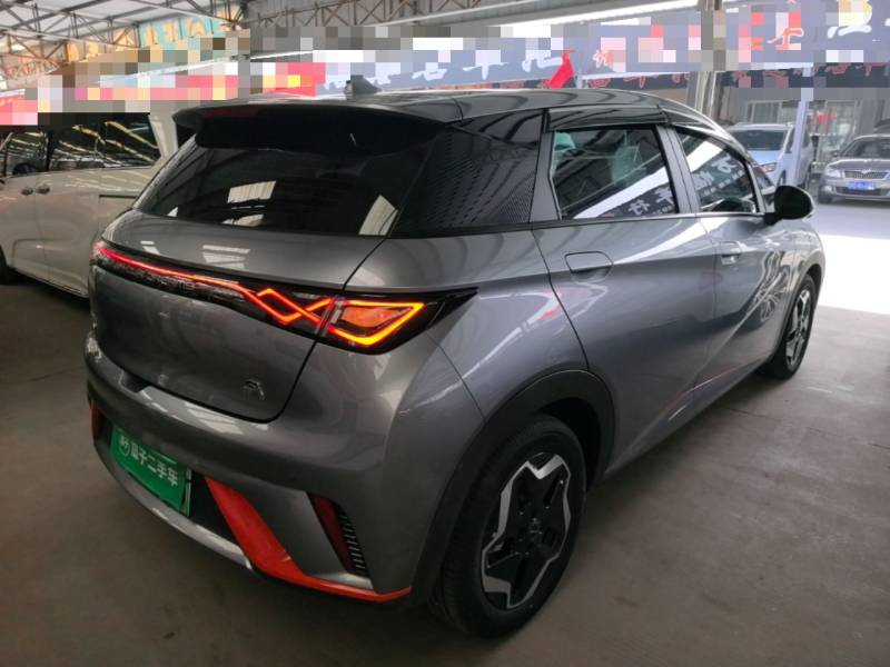 Used BYD Dolphin 2021 405 km Fashion Edition — 6
