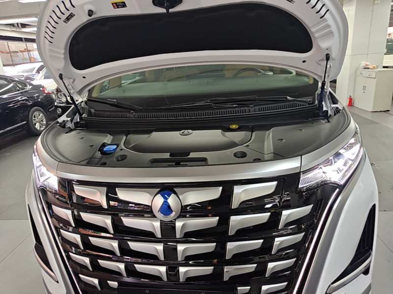 Used Denza D9 2026 Second-Generation EV Flash Charge Prestige Edition — 19