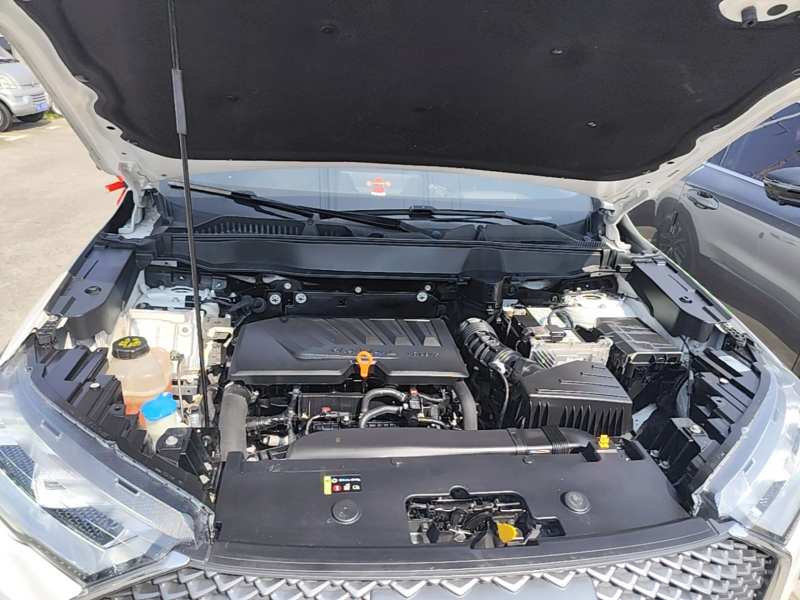 Used Haval H6 2021 3rd Generation 1.5T Automatic Two-Wheel Drive Max — 19