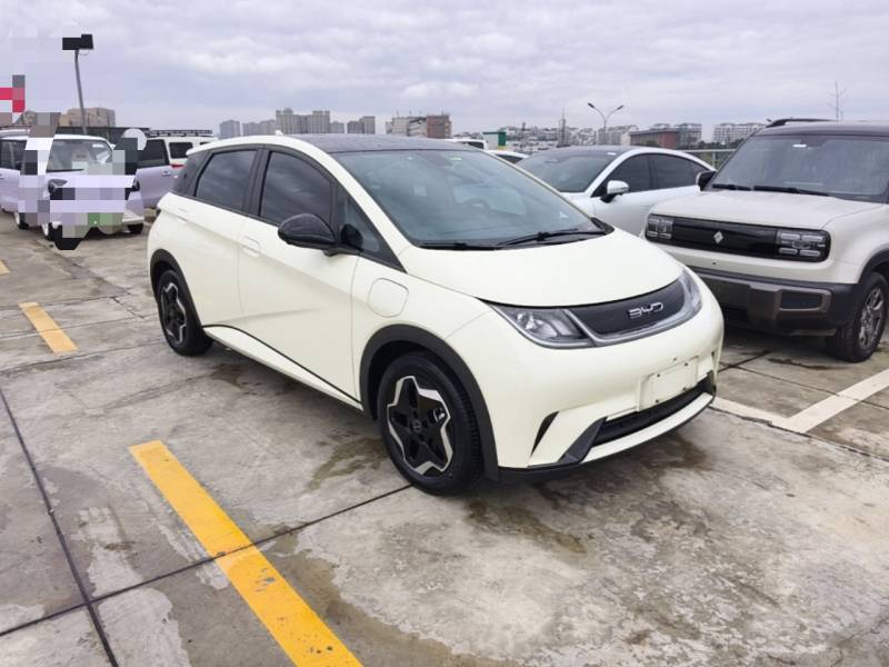 Used BYD Dolphin 2021 405 km Fashion Edition — 3