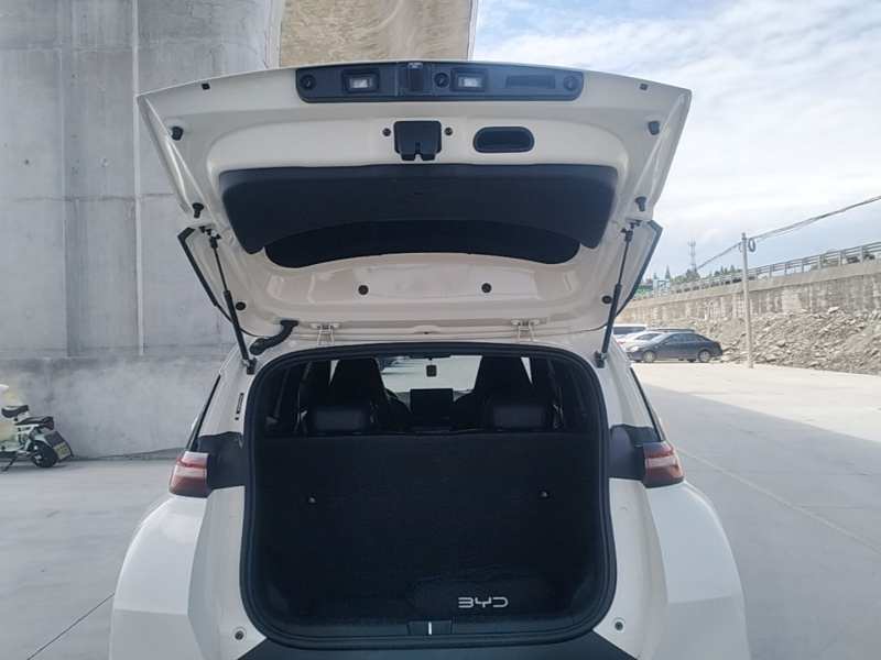 Used BYD Seagull 2025 305 km Free Version — 18