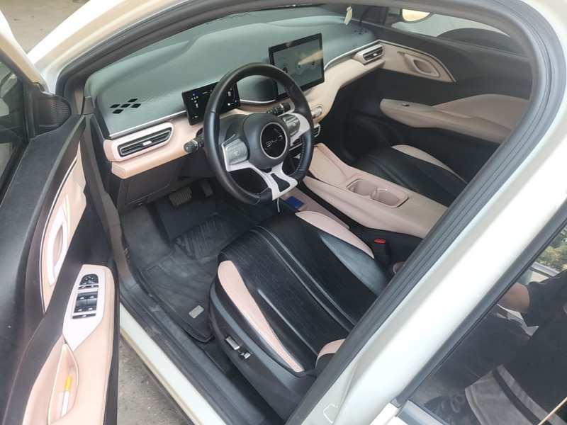Used BYD Seagull 2024 Honor Edition 305km Freedom Version — 15