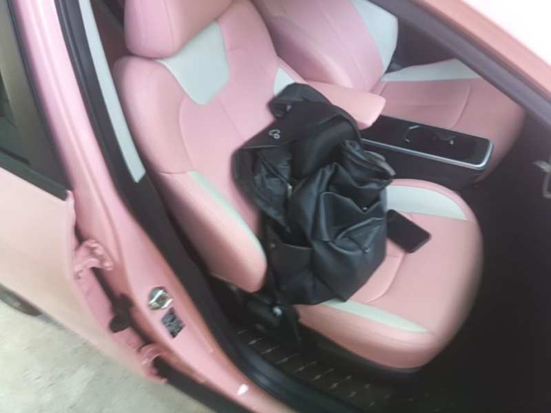 Used NETA V 2022 Chao 400 Lite Pink Custom Edition — 24