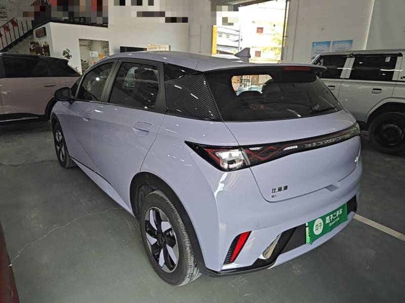Used BYD Dolphin 2024 Honor Edition 420km Freedom Version — 4