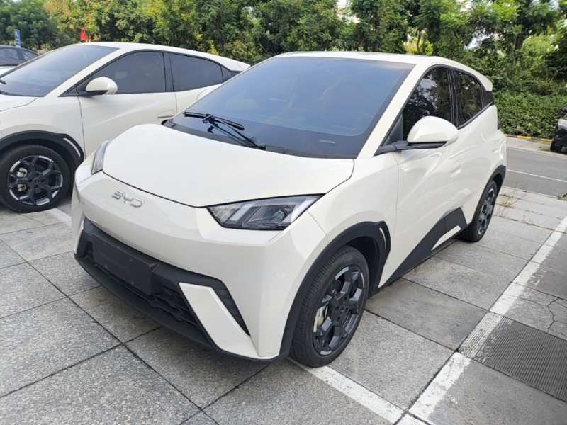 Used BYD Seagull 2025 405 km Flying Edition