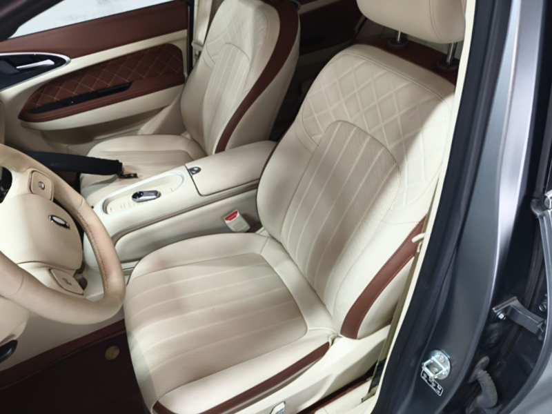 Used ORA Good Cat 2025 Model, 430 km Prestige Version — 14