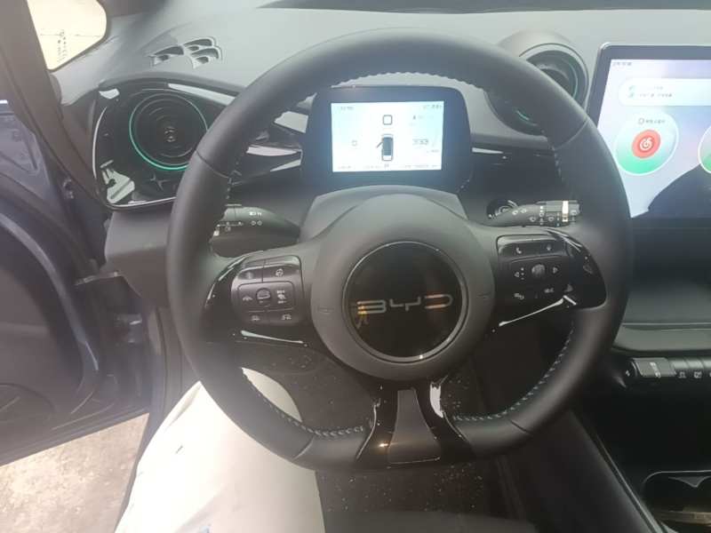 Used BYD Dolphin 2023 401km Knight Edition — 10