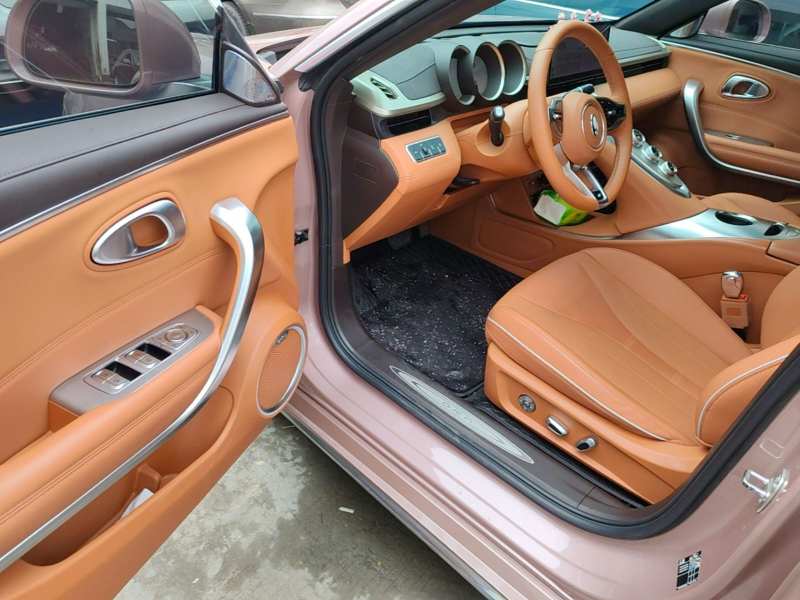 Used ORA Lightning Cat 2022 555 km Luxury Edition – Premium — 15