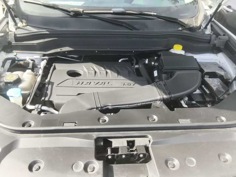 Used Haval H6 2021 National Trend Edition 1.5T Automatic Urban Version — 19