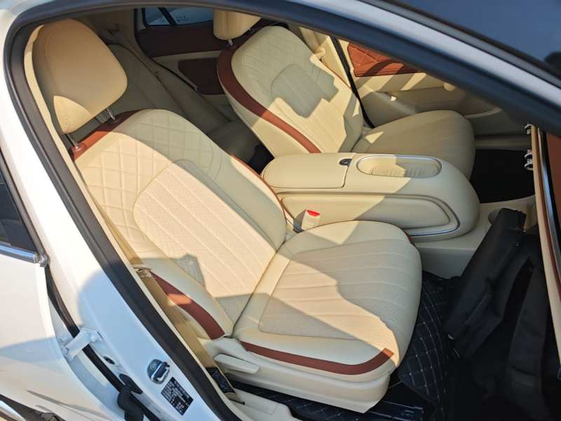Used ORA Good Cat 2025 Model, 430 km Luxury Version — 24