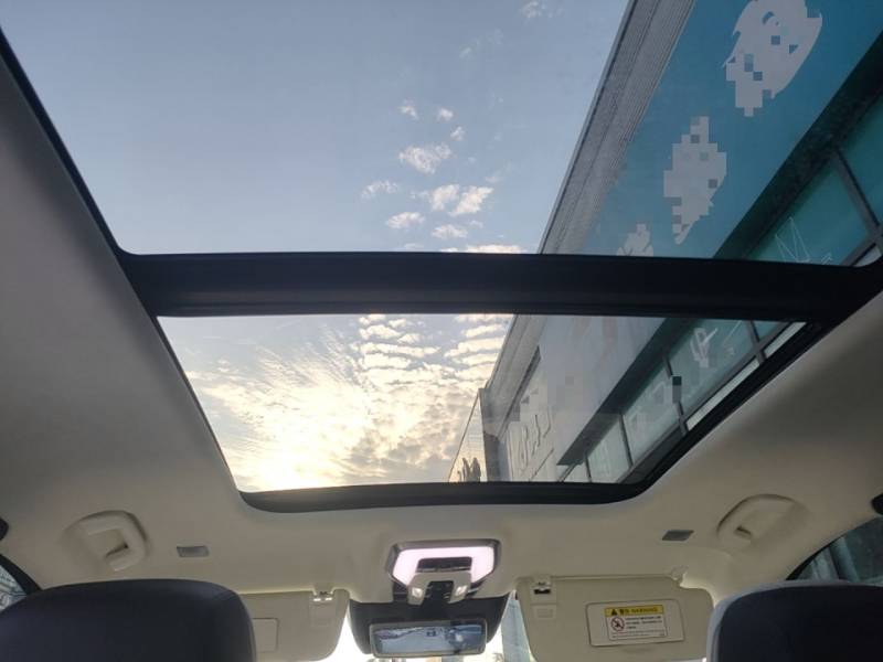 Used Hongqi E-HS9 2021 510 km Flagship Edition Four Seats — 17