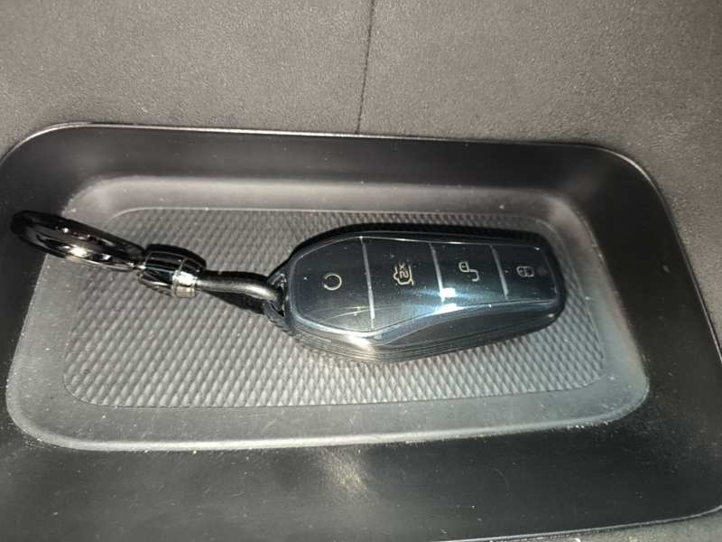 Used BYD Dolphin 2023 401km Knight Edition — 8