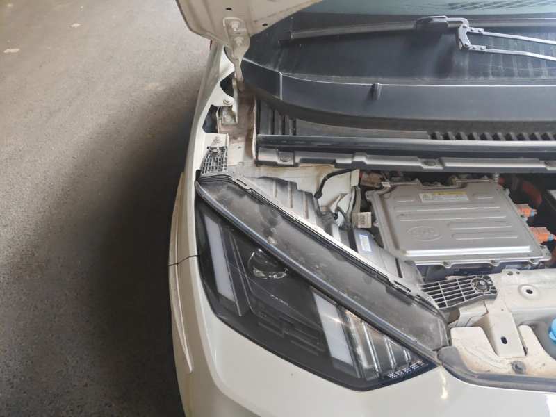 Used BYD Seagull 2023 Active Version — 22