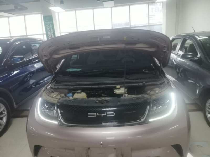 Used BYD Dolphin 2023 420 km Free Version — 19