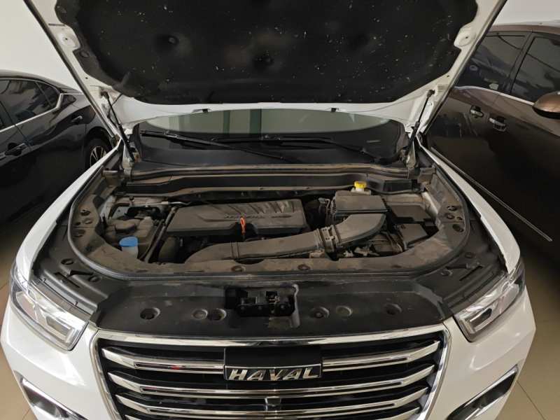 Used Haval H6 2020 1.5 GDIT Automatic Platinum Champion Edition — 15
