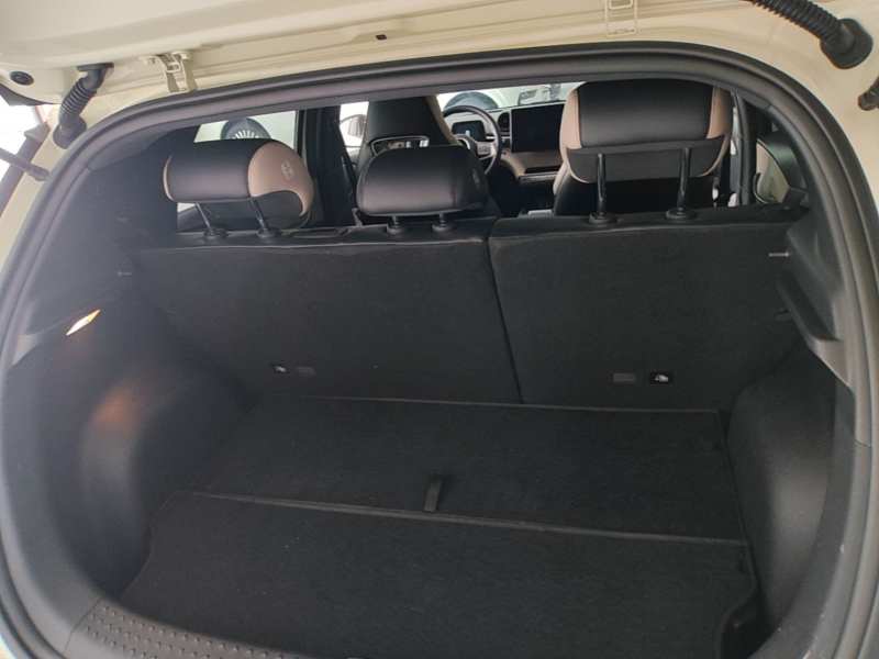 Used BYD Dolphin 2023 420 km Fashion Edition — 18