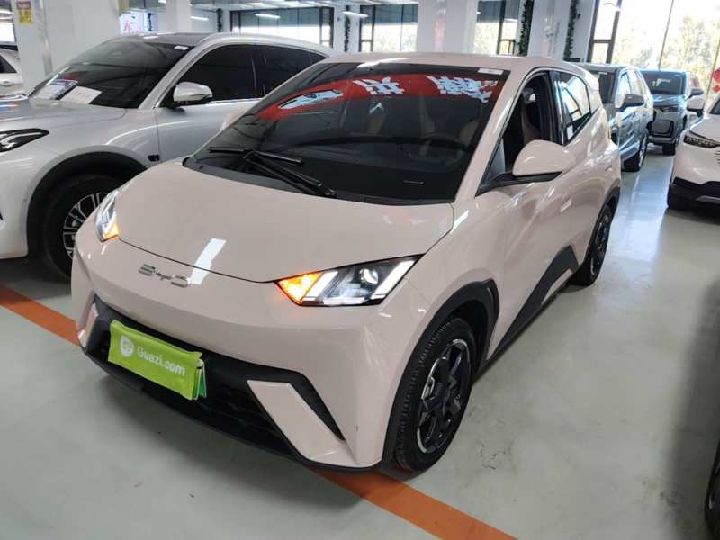 Used BYD Seagull 2023 Flying Edition — 1