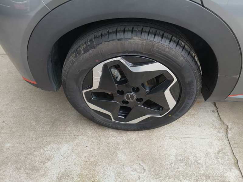 Used BYD Dolphin 2021 405 km Fashion Edition — 25