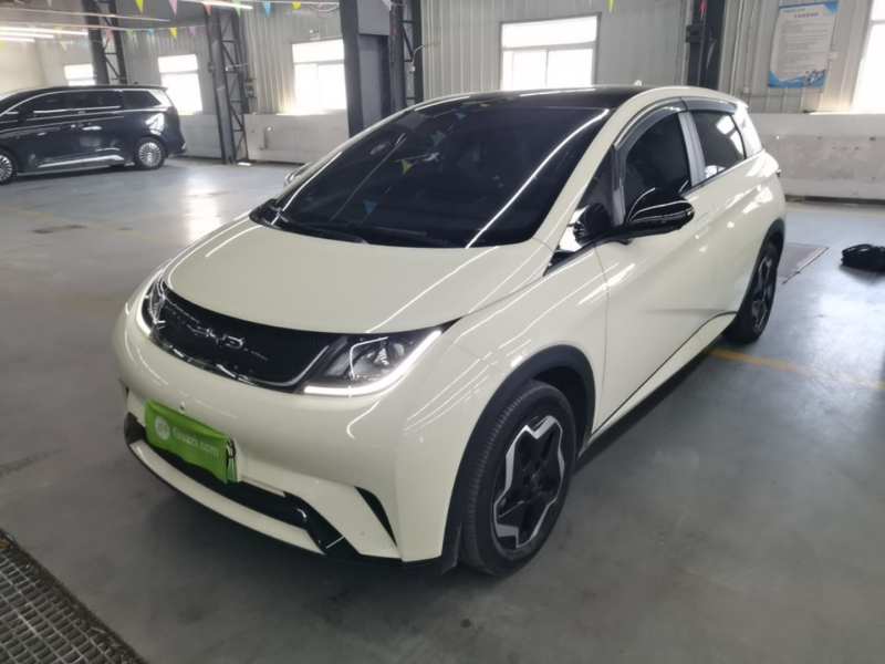 Used BYD Dolphin 2021 405 km Fashion Edition