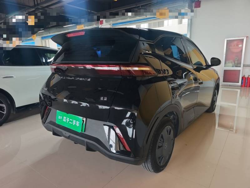 Used BYD Seagull 2024 Honor Edition 305km Dynamic Version — 6