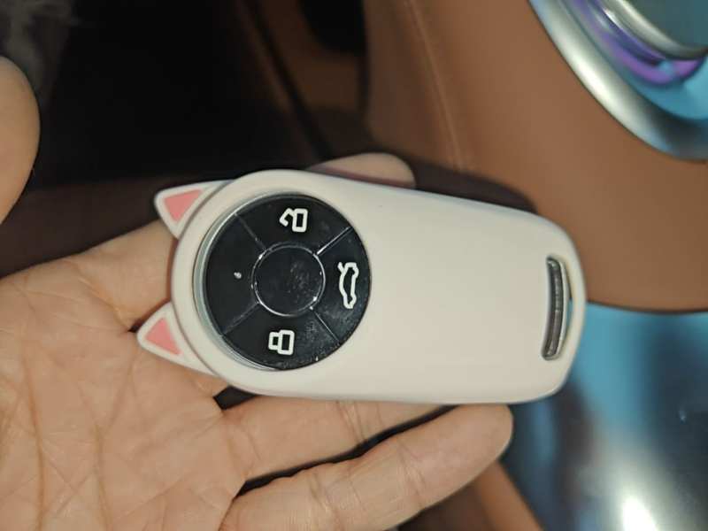 Used ORA Lightning Cat 2022 555 km Luxury Edition – Premium — 8