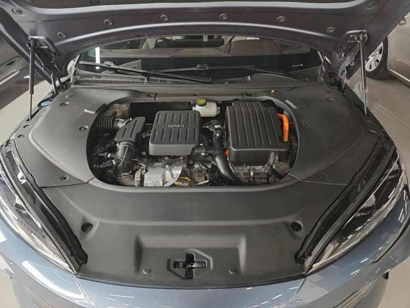 Used BYD Seal 2023 DM-i 1.5T 121km Prestige Model — 19