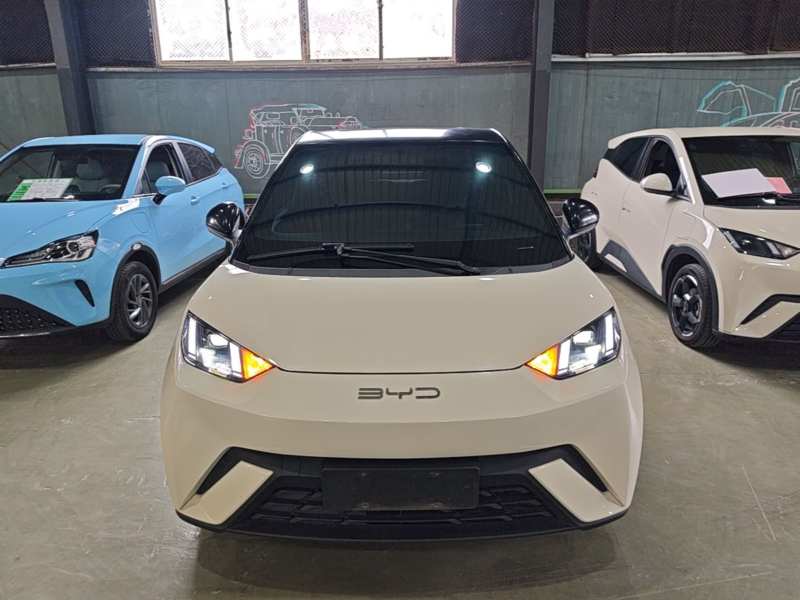 Used BYD Seagull 2023 Flying Edition — 2