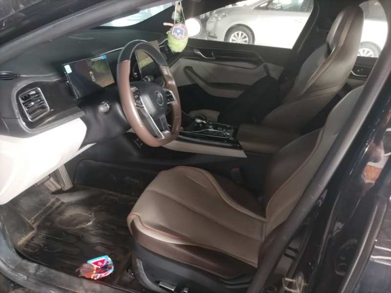 Used BYD Qin PLUS 2023 Champion Edition DM-i 55KM Superior Model — 14