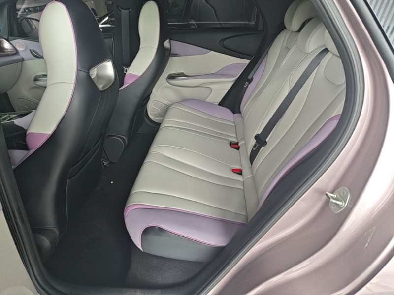 Used BYD Dolphin 2021 401km Knight Edition — 16