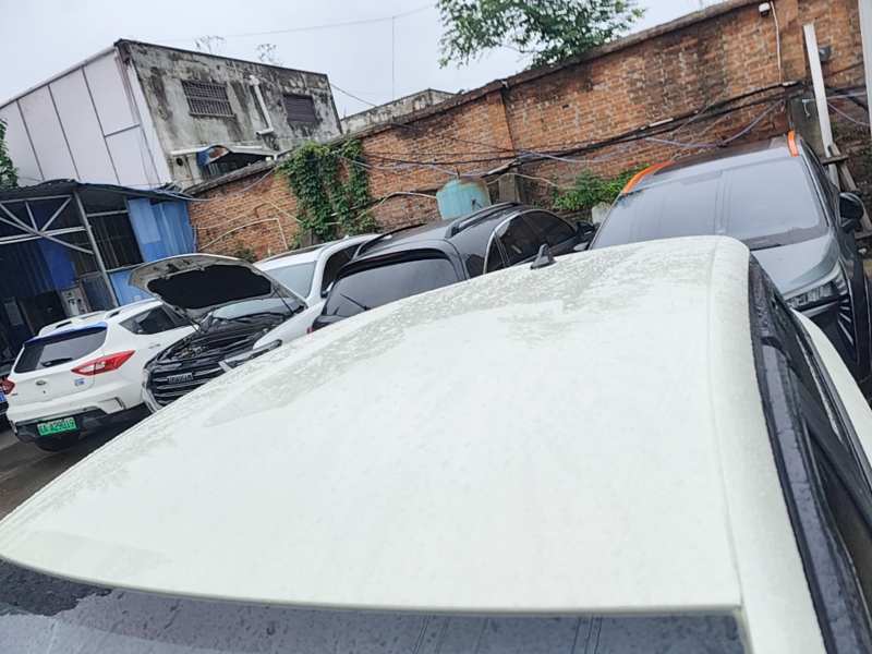 Used BYD Dolphin 2025 420km Free Edition — 26