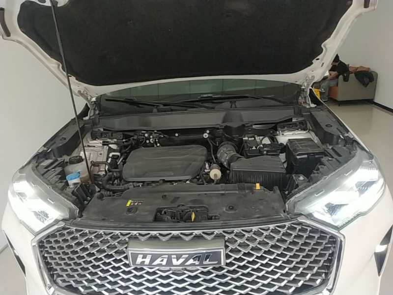 Used Haval H6 2022 3rd Generation 1.5T Automatic Two-Wheel Drive Max — 19