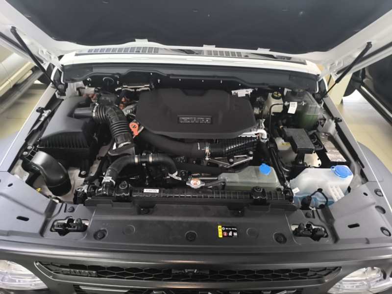 Used Tank 300L New Energy 2026 Model Tank 300L Hi4-Z — 19