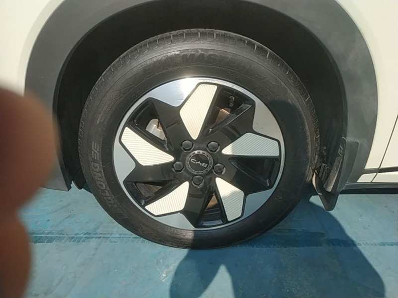 Used BYD Dolphin 2025 420km Free Edition — 22