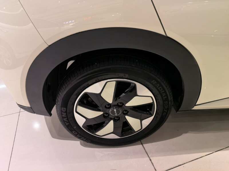 Used BYD Dolphin 2024 Honor Edition 420km Freedom Version — 25