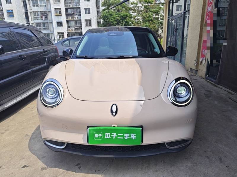 Used ORA Good Cat 2023 401 km Standard Range Premium Version Lithium Iron Phosphate — 2