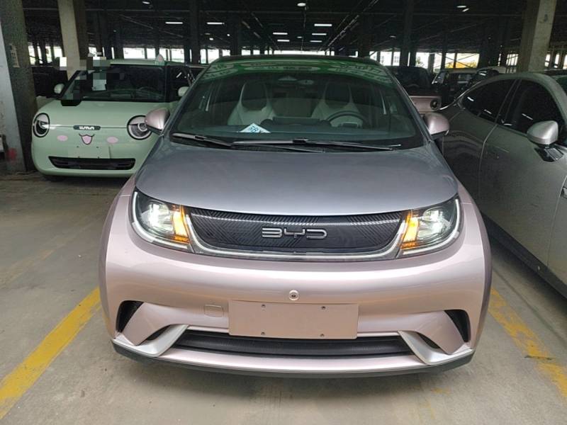 Used BYD Dolphin 2021 401km Knight Edition — 2