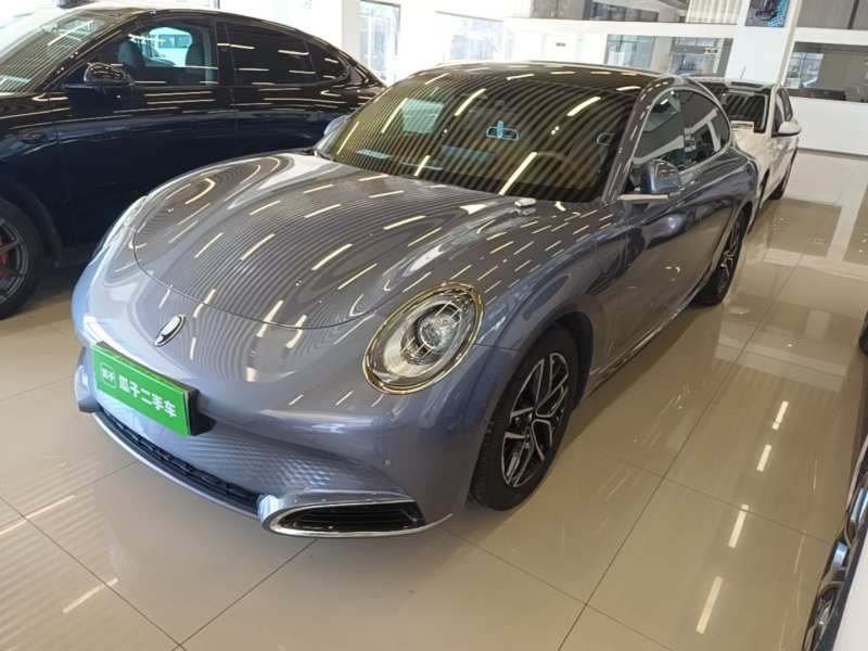 Used ORA Lightning Cat 2022 555 km Luxury Edition – Premium