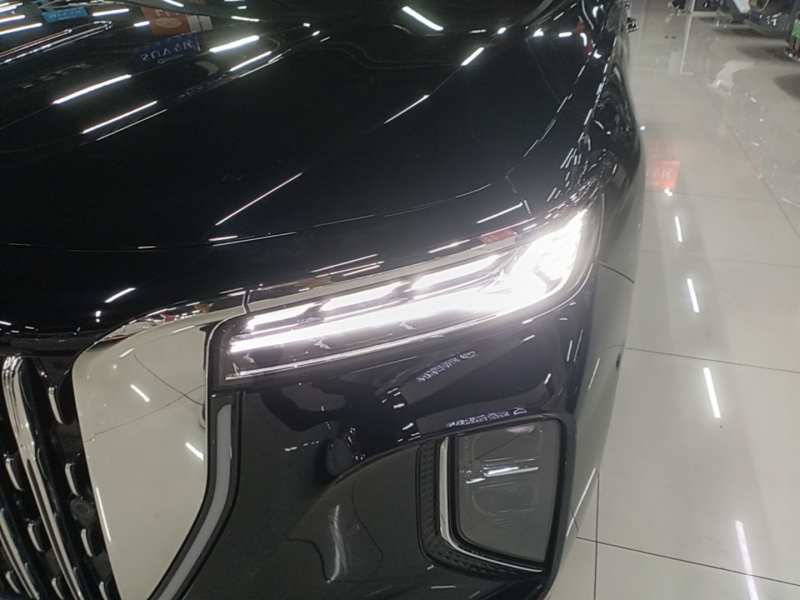 Used Hongqi H9 2025 2.0T Two-Wheel-Drive Flagship Luxury Business Edition 5 Seats — 23