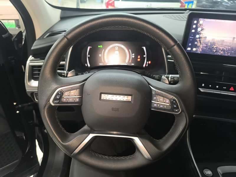Used Haval H6 2021 National Trend Edition 1.5T Automatic Champion Version — 10
