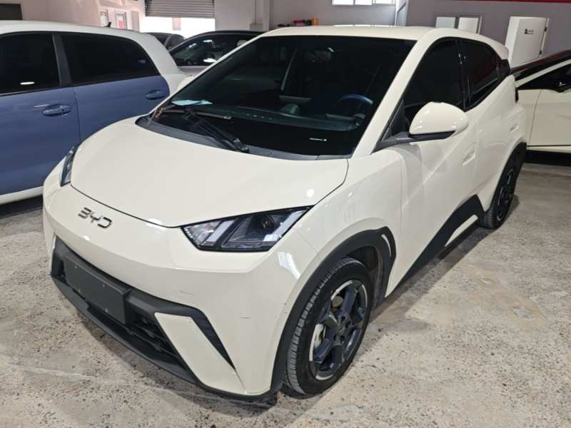Used BYD Seagull 2024 Honor Edition 305km Freedom Version