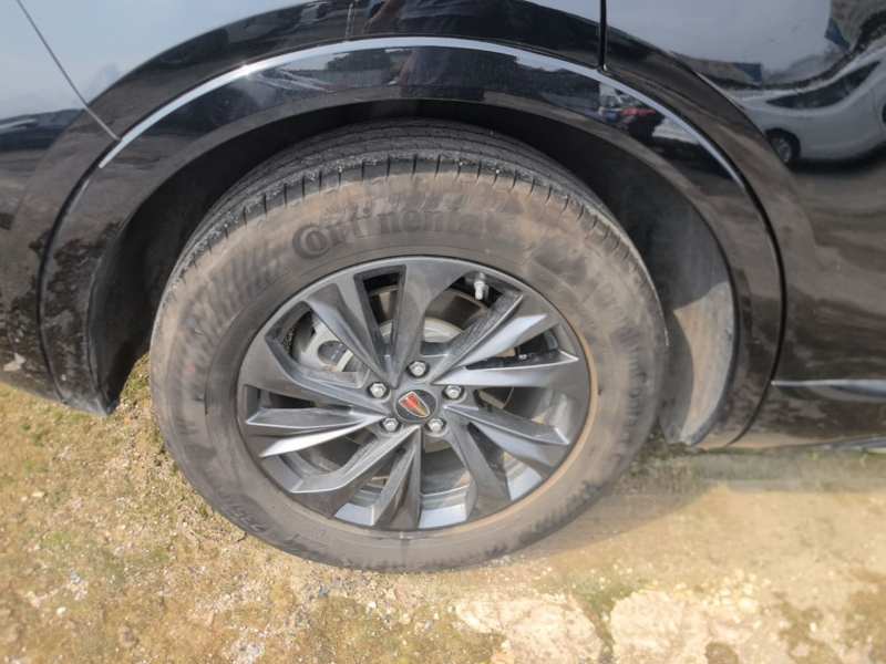 Used Hongqi HS5 2023 2.0T Qixiang Pro Edition — 25