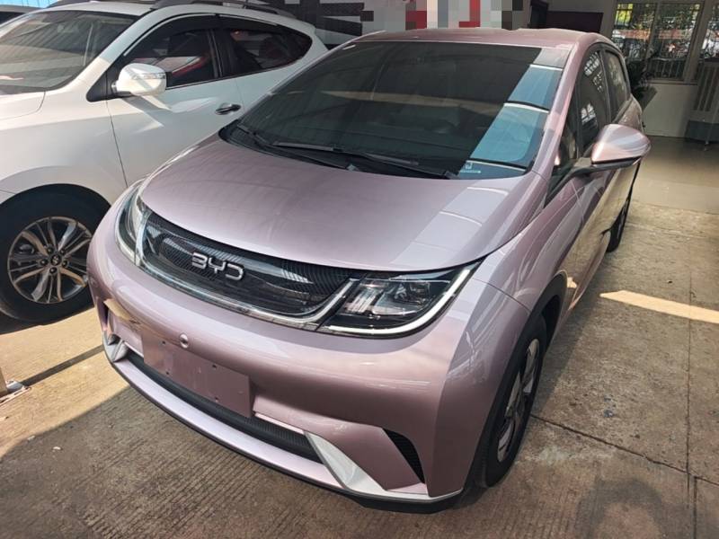 Used BYD Dolphin 2023 420 km Free Version — 1